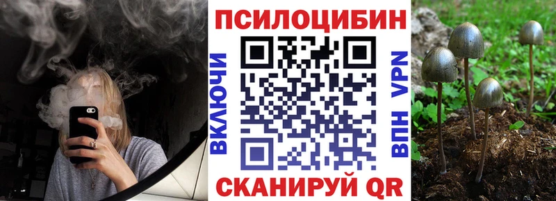 ссылка на мегу ссылки  shop клад  Галлюциногенные грибы GOLDEN TEACHER  Чита 